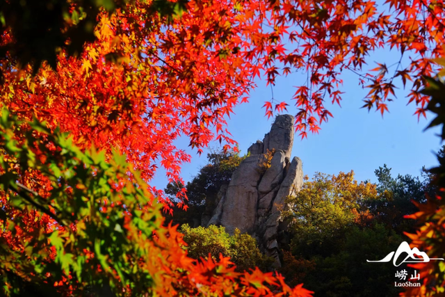 从济南九如山到潍坊石门坊 送你一份山东赏“红”地图