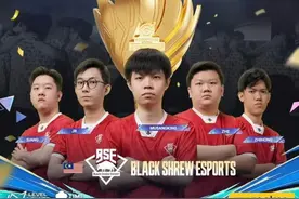 2024王者荣耀冠军邀请赛落幕，马来西亚BSE战队夺冠圆梦雅加达图片