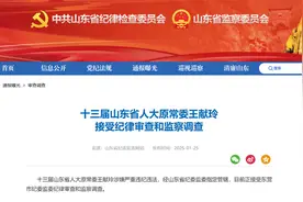 山东省纪委监委通报，2人被查图片