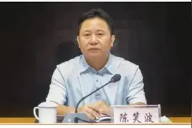 极目政情丨大搞迷信活动，泄露工作秘密，陈笑波被“双开”图片