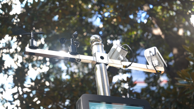 全市首个！静安这个商圈旁，竟藏着居民区里的“专业古树园”