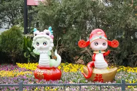 关于蛇的8条冷知识，你知道多少？图片