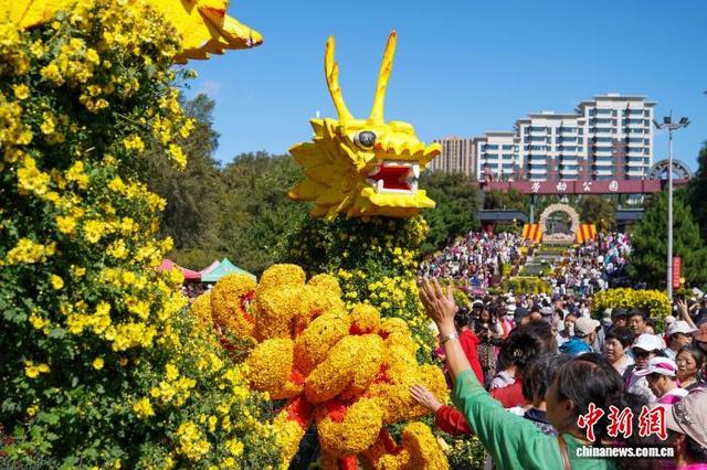 黑龙江哈尔滨：7万盆菊花打造秋日盛宴