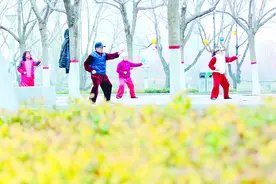 山东滕州：春分暖阳照 赏花正当时图片