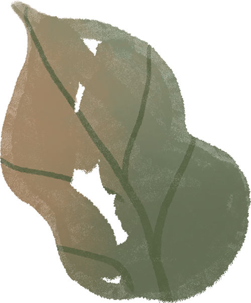 200元起飞！许多巴彦淖尔人都忍不住了......