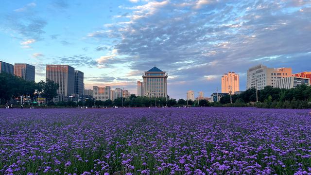 组图丨武威市政广场人如织景如画
