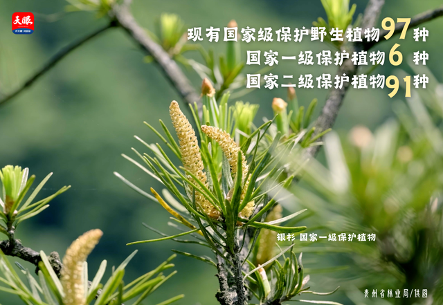 全国生态日｜一组海报速览美丽遵义