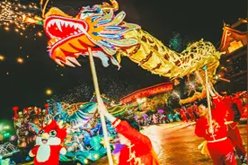 春节来上海看虎鲸、赏烟花、游“龙宫”，解锁假期新玩法图片