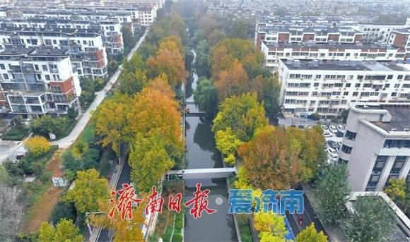 一年四季 泉在济南丨工商河畔 层林尽染秋意浓