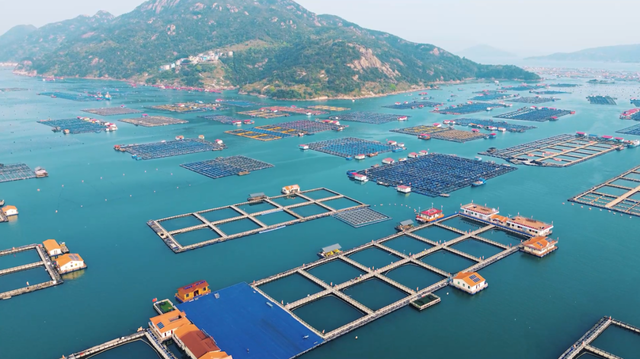 全网上线！《闽式生活七十二变，等您来发现》：身入闽地画境 开启归心之旅