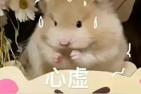 为了口吃的，小情侣差点凌晨冲下悬崖......图片