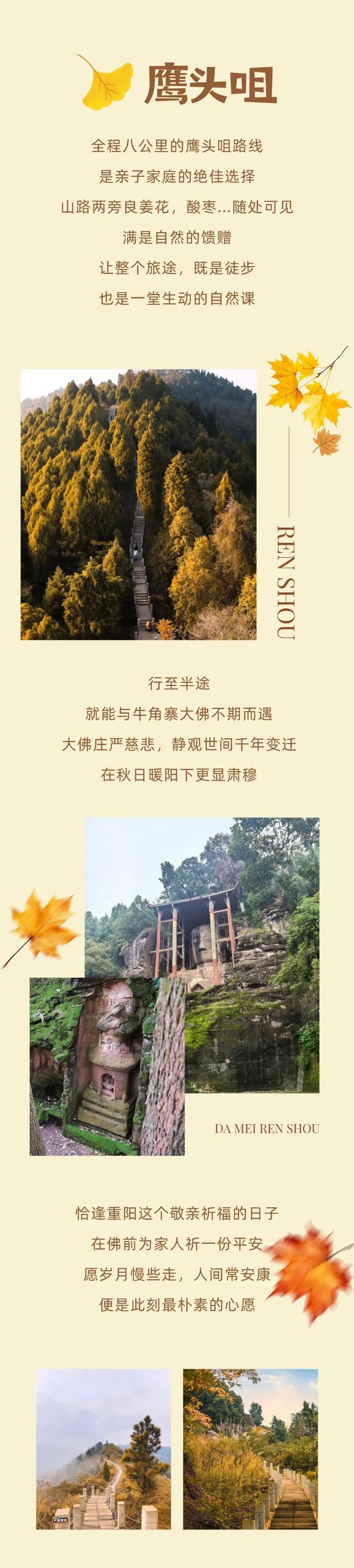 登高、访古、寻秋！重阳来仁寿，“老”有意思了！