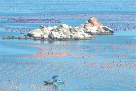 北回归线上的 “彩虹海”图片