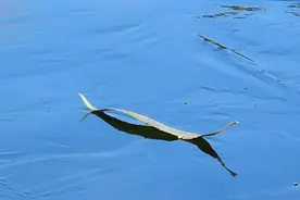 北大教授，散步解出一道170多年的难题图片