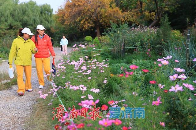 一年四季 泉在济南丨森林公园秋日美景引游客打卡拍照