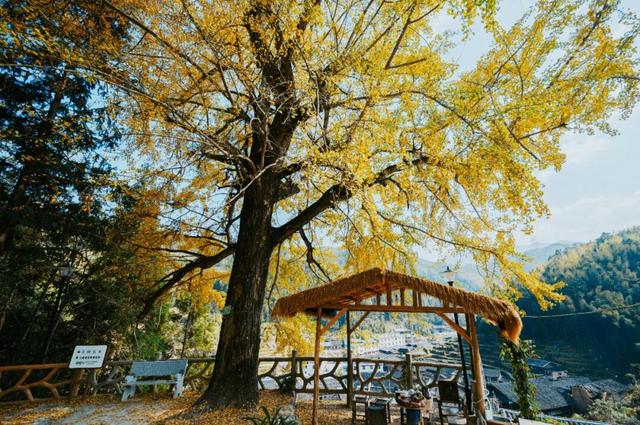 此刻，闽侯的“含金量”还在不断上升！