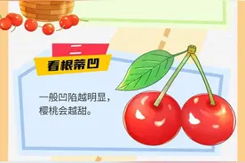 半岛涂图丨樱桃挂枝头，采摘正当时！注意，吃起来这些“讲究”不能少图片