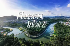 奋进征程·茂名 | 千年荔枝村请来了经理人图片