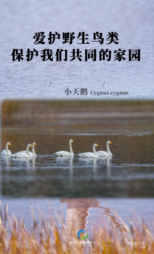 2025西安航空航天体验消费嘉年华7月18日盛大来袭！