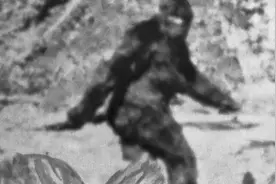 异域拾异｜大脚怪的形状：一项神秘社会学研究图片