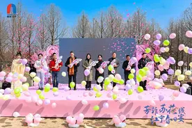 看春花烂漫 江宁“苏花路”已上线图片