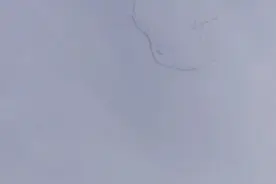 舒城空中雁群惊现“人脸”奇观 专家：是变换队形时的偶然现象图片