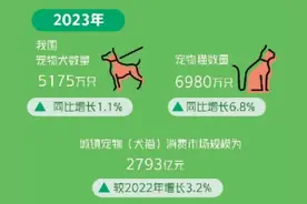 喵喵喵~汪汪汪~1.2亿只，近3000亿元市场规模！宠物消费市场调查图片