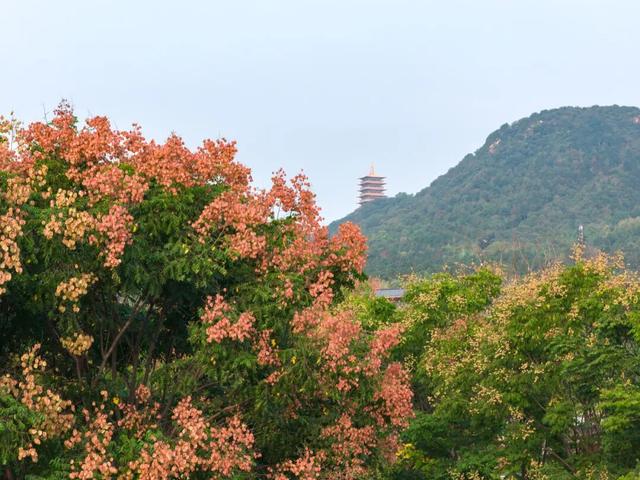 跟着这条线路，周末赏秋去！