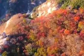 登高望远 八达岭长城红叶进入最佳观赏期图片