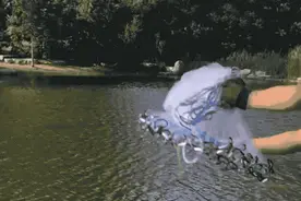 渔网底下是空的，为什么还能把鱼捕上来？是鱼太蠢了吗？图片