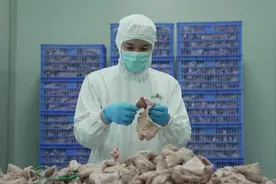 食品安全再上新台阶！叮咚买菜盱眙工厂FSSC体系认证通过图片