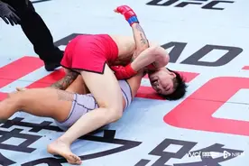 UFC精英之路第三季落幕，10名中国选手取得胜利图片