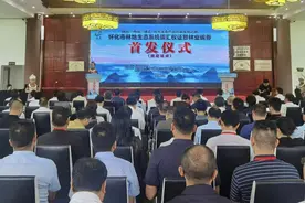 湖南省首批林地生态系统碳券颁发 首期共核证4张图片