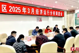 右江区召开2025年3月经济运行分析调度会图片