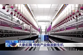 工业大省挑大梁丨山东：大象起舞 看“全能王”的竞争力图片