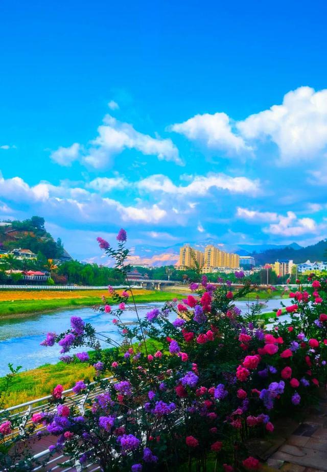 云新闻·滇地宝藏丨云卷云舒处，云南这座“云端小城”藏着秋日惊喜