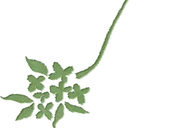 中秋公园这样逛 | 看展演、转市集、登中轴、购文创图片