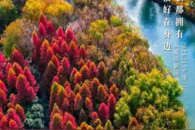 暖气受热不均！洛阳供热管家教您调节…… | 洛阳·早安图片