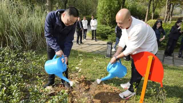 “两山”理念发源地传递光雾山 “红叶火炬”巴中23棵水青冈扎根安吉