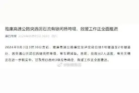 突遇泥石流！雅康高速公路隧间桥垮塌有车辆掉坠，已抢救出2人送医图片