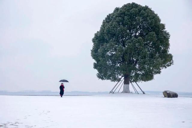 宜兴一下雪，就美成了阳羡！