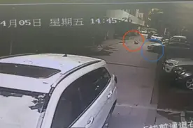 男子驾车轧女童致其死亡被捕 男子亲属：车辆未盲区预警拟起诉特斯拉图片