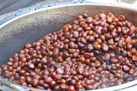 秋天宁可不吃肉，也要吃这“千果之王”！堪称天然补肾宝、健胃剂，煲汤煮粥炖肉特别香图片