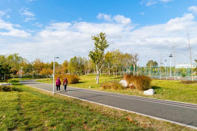 藏在乳山各处的温柔｜这些公园，让心情慢下来