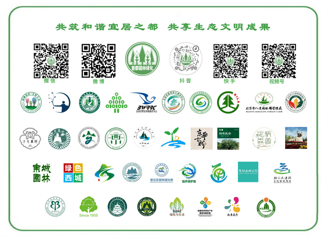 丰台新添休闲好去处！遛娃、健身、赏景一站齐！