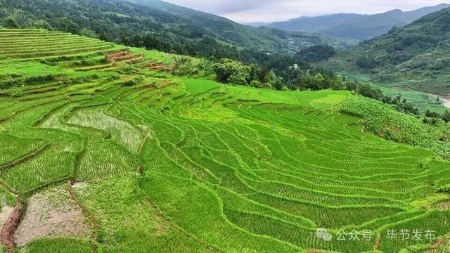 毕节不止有“悬崖村”，这些田园风光更美！
