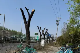 在北京，一场事先张扬的大风图片