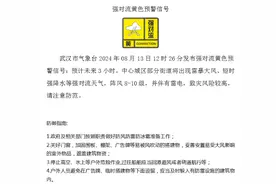 刚刚武汉打雷了！10级大风，强对流天气图片