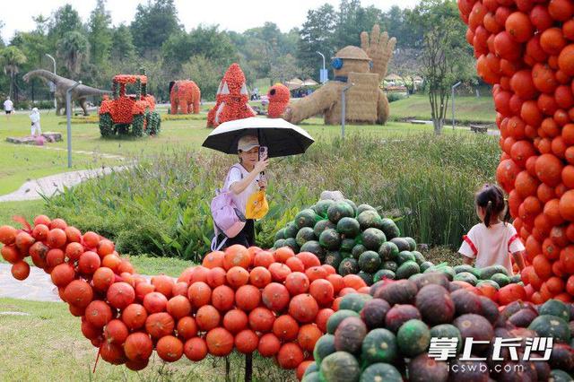 组图｜快乐拉满！长沙园林生态园内，南瓜雕塑稻草人恐龙都来了