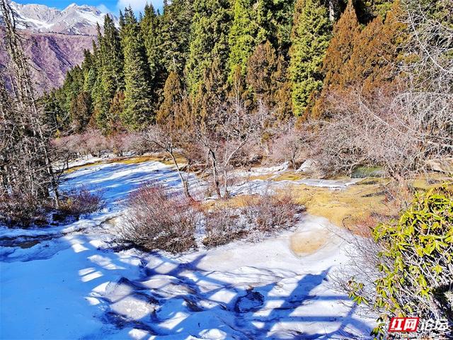 一半冰雪，一半碧波，冬日黄龙的色彩魔术